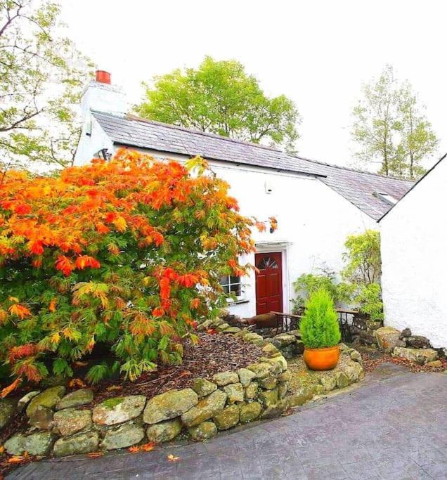 Riverside Cottage At Logwood Mill Ballyclare Exterior foto